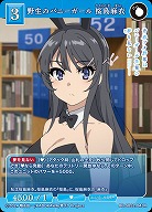 野生のバニーガール 桜島麻衣 【BB-SBS2-043R】